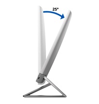 Dell Inspiron 24 5415 All in One - Isosceles Stand View